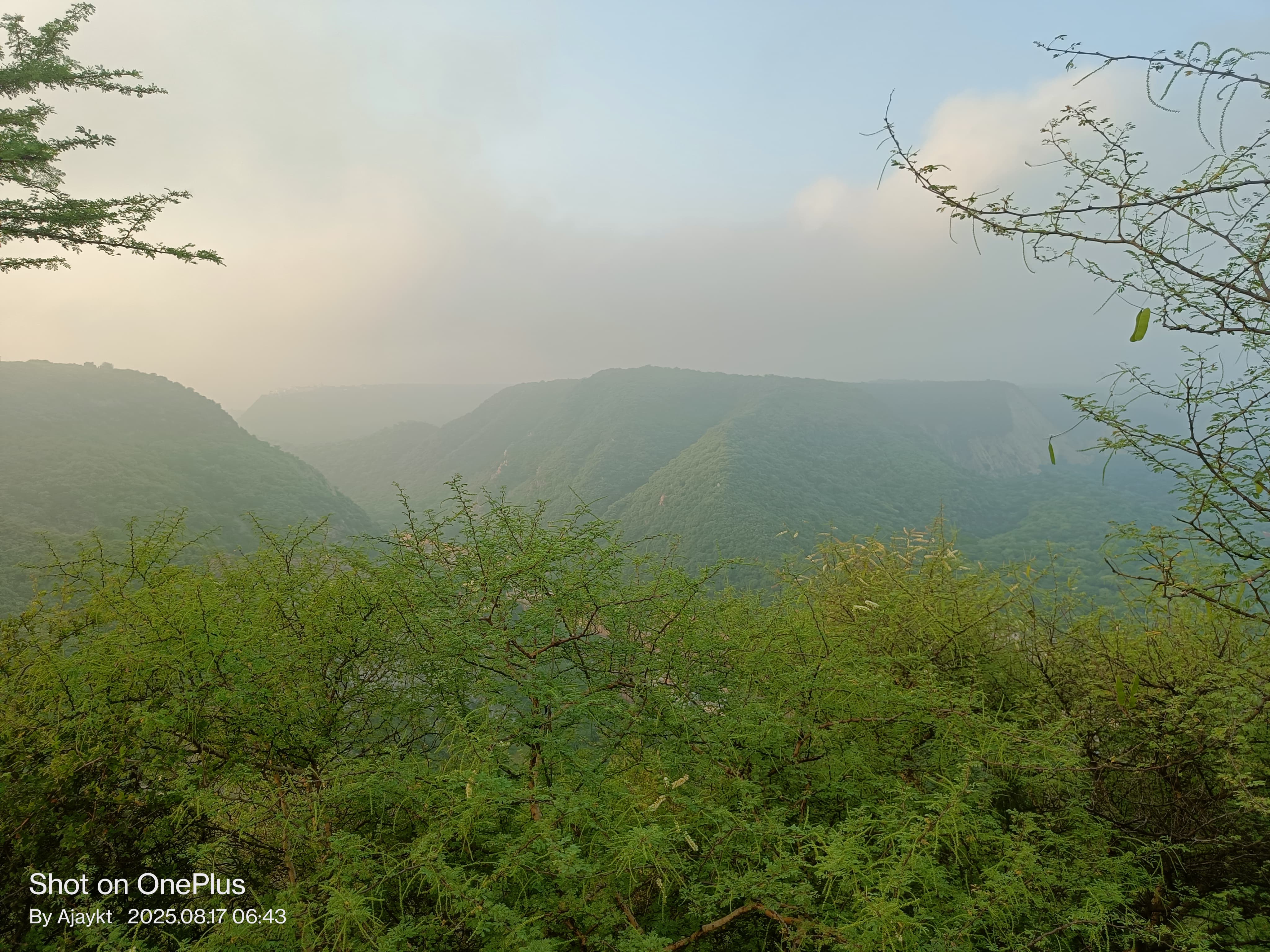 Mount Seat Point Trek
